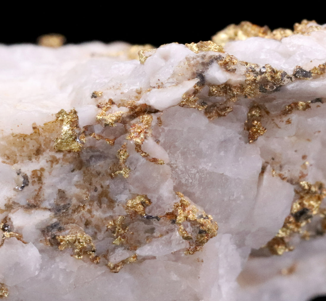 Vein of Gold: An Allegory About Following Your Dreams