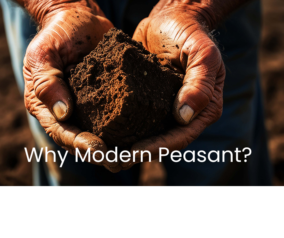 Why Modern Peasant?