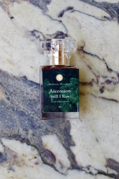 Ascension (Still I Rise)