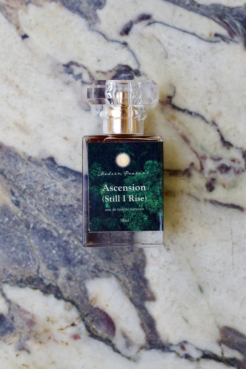 Ascension (Stil I Rise)