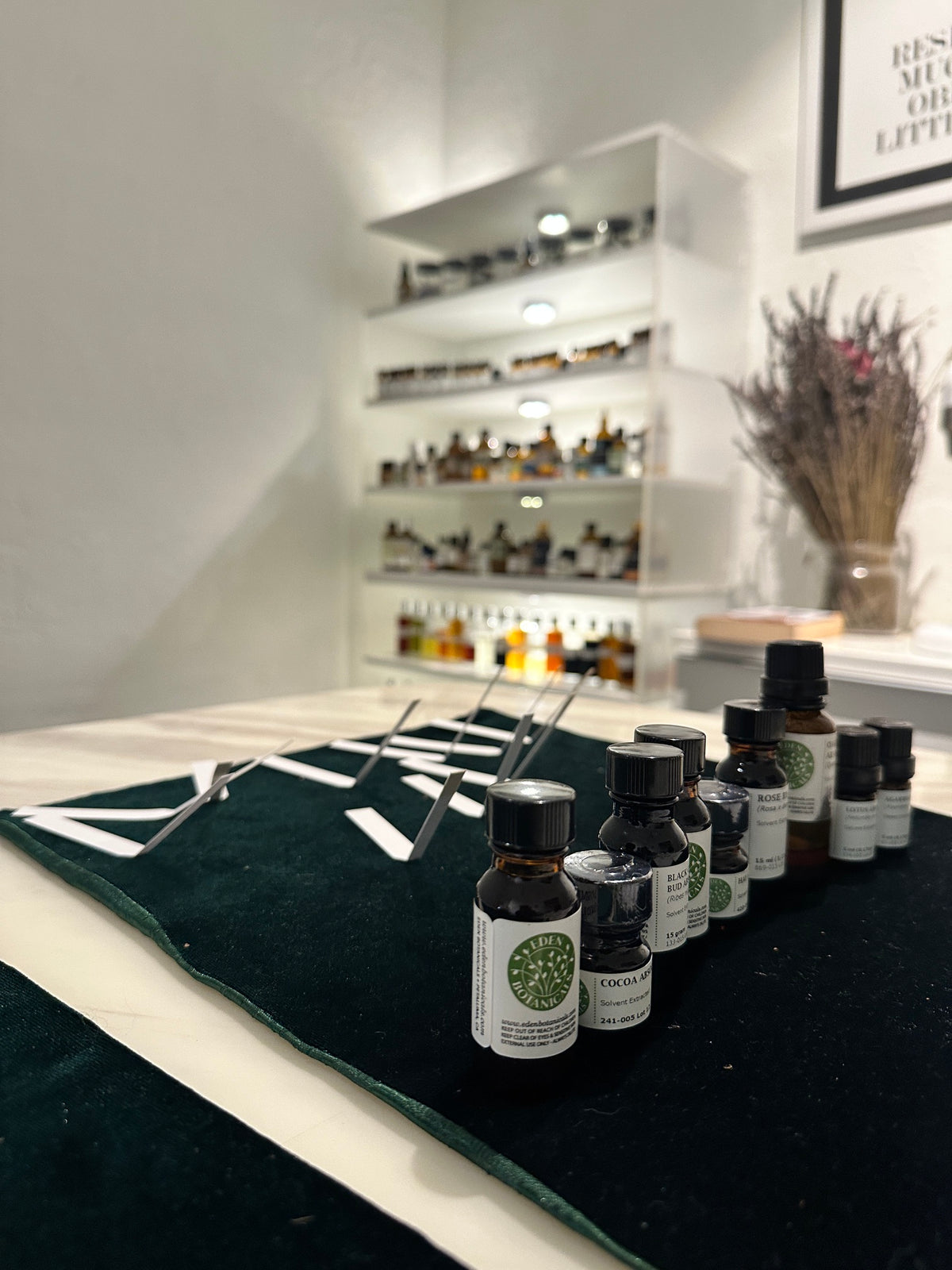 Natural Scent Reference Room